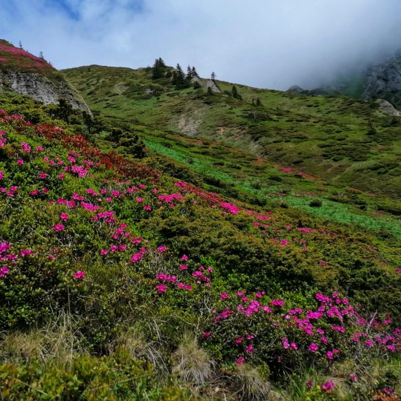 IMG_20200614_110243-01