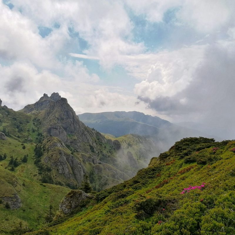 IMG_20200614_114046-01