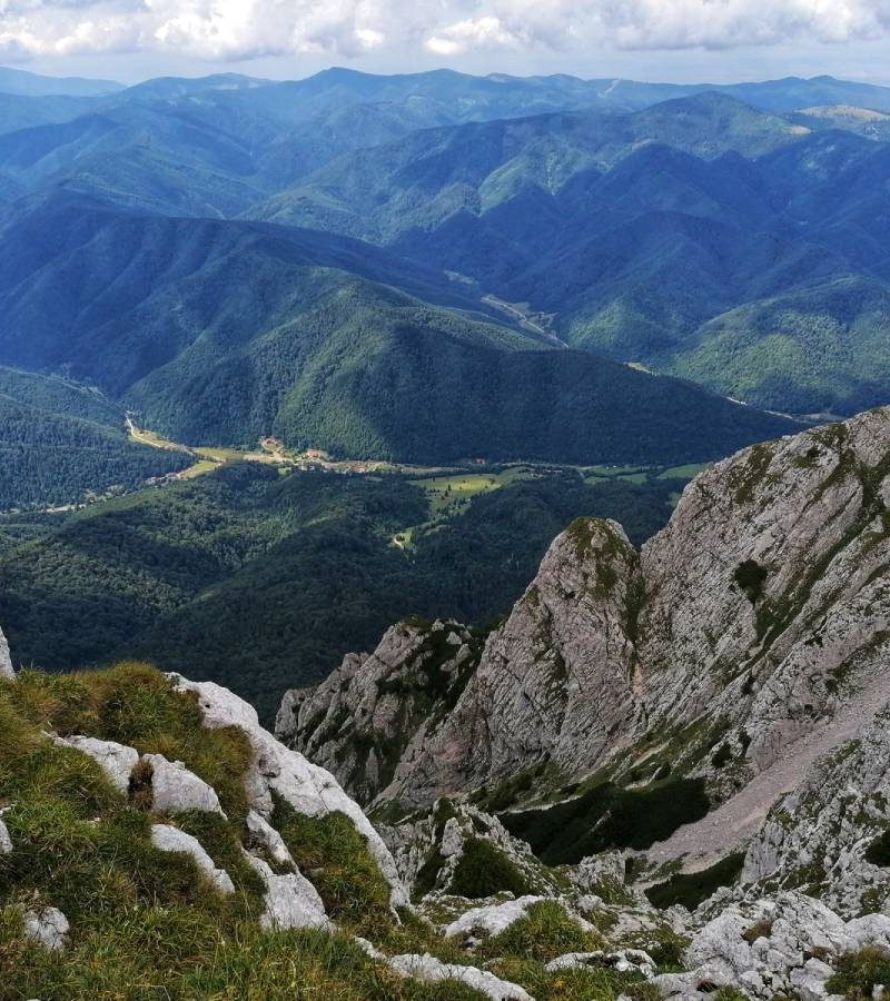 IMG_20200726_151617-01