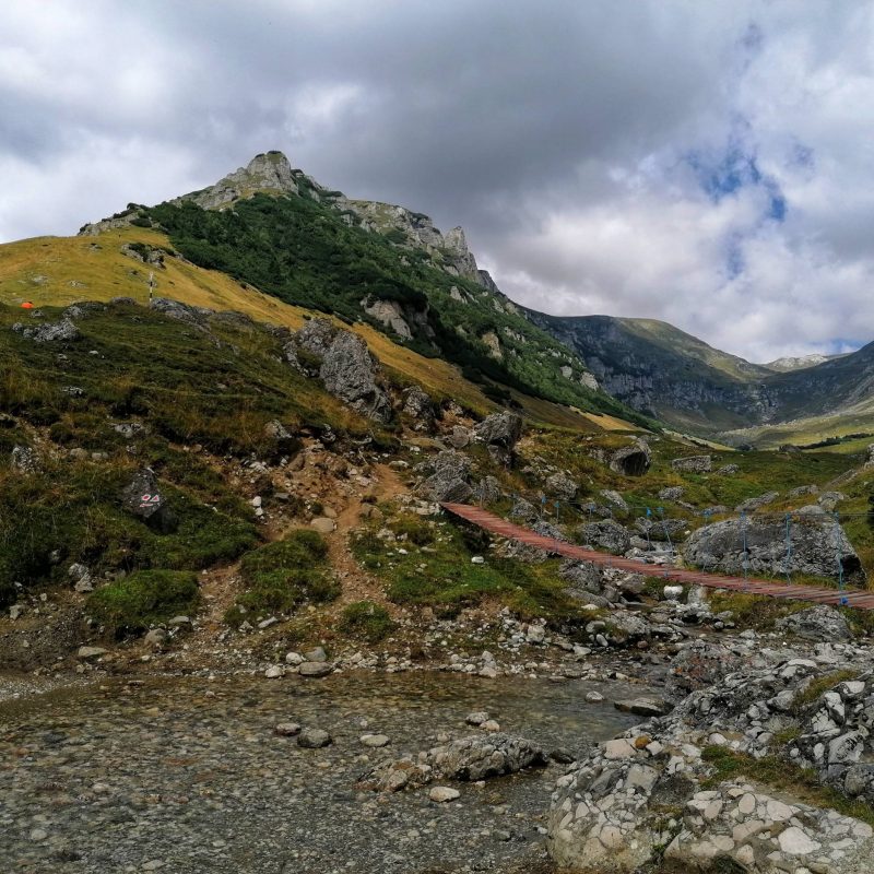 IMG_20200822_132414-01