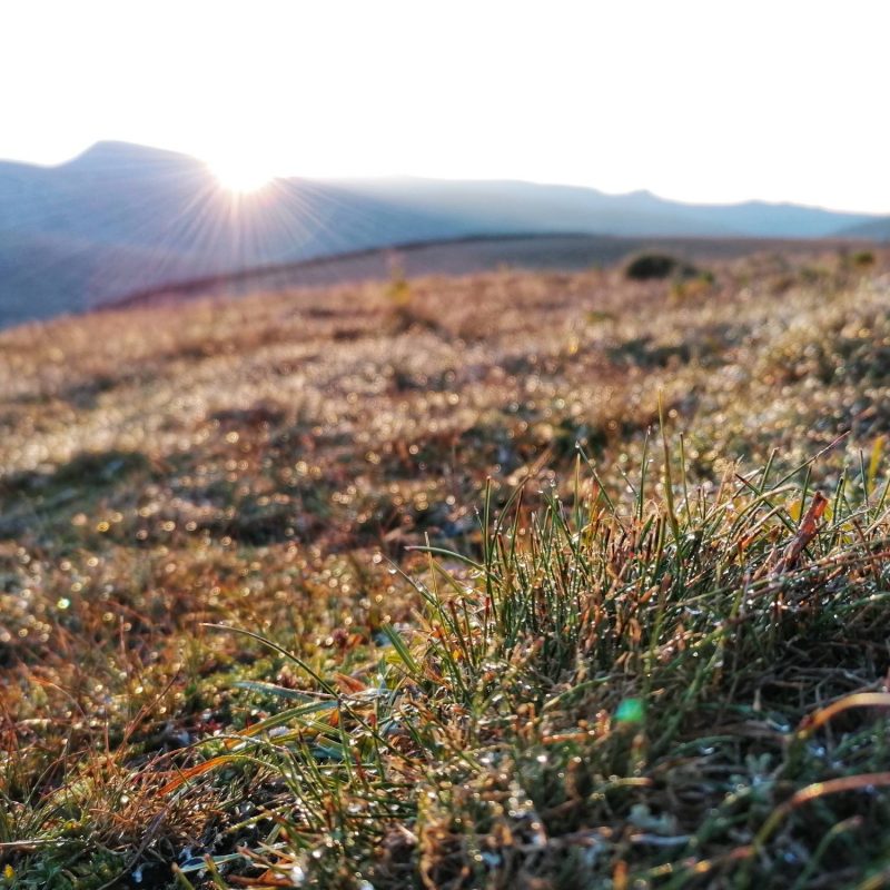 IMG_20200823_065101-01