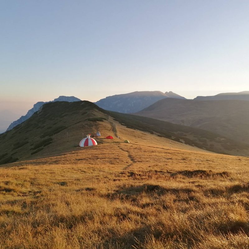 IMG_20200823_065506 (1)