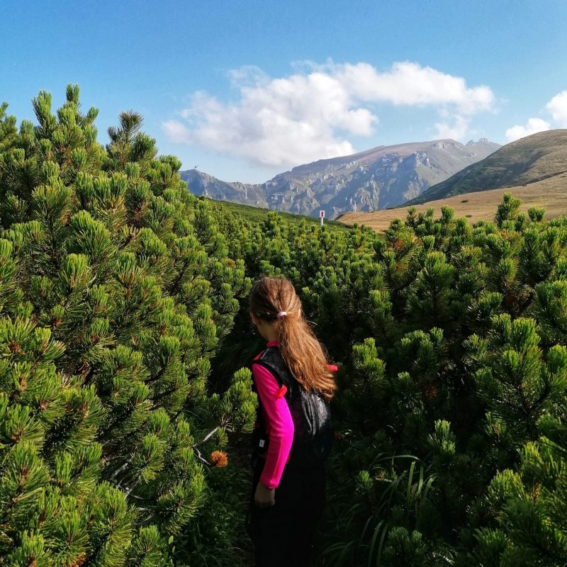 IMG_20200823_093332-01