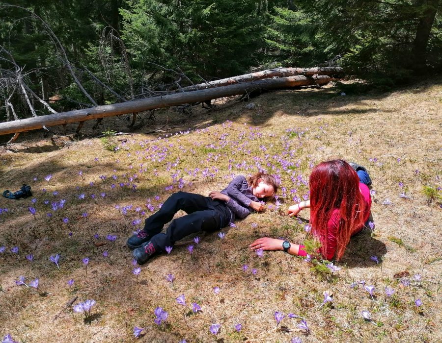 IMG_20210502_132334-01