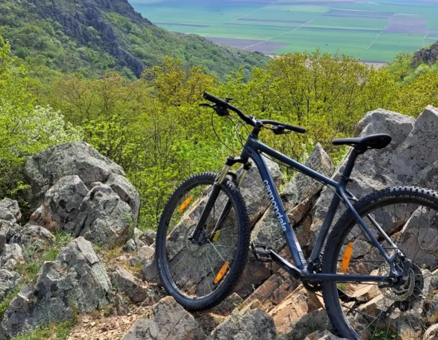 IMG_20220425_124820_738