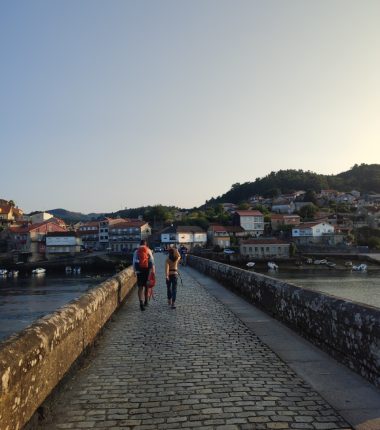 IMG_20240819_084546 (2)